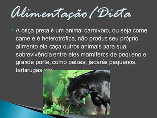  A onça preta é um animal carnívoro, ou seja come
carne e é heterotrófica, não produz seu próprio
alimento ela caça outros animais para sua
sobrevivência entre eles mamíferos de pequeno e
grande porte, como peixes, jacarés pequenos,
tartarugas etc.
 