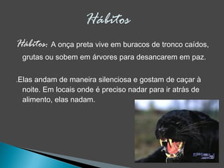 Hábitos: A onça preta vive em buracos de tronco caídos,
grutas ou sobem em árvores para desancarem em paz.
.Elas andam de maneira silenciosa e gostam de caçar à
noite. Em locais onde é preciso nadar para ir atrás de
alimento, elas nadam.
 