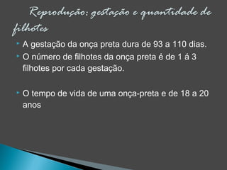  A gestação da onça preta dura de 93 a 110 dias.
 O número de filhotes da onça preta é de 1 á 3
filhotes por cada gestação.
 O tempo de vida de uma onça-preta e de 18 a 20
anos
 