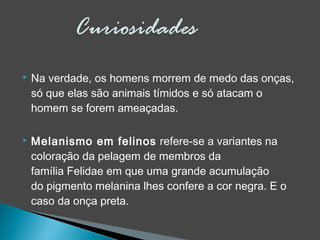  Na verdade, os homens morrem de medo das onças,
só que elas são animais tímidos e só atacam o
homem se forem ameaçadas.
 Melanismo em felinos refere-se a variantes na
coloração da pelagem de membros da
família Felidae em que uma grande acumulação
do pigmento melanina lhes confere a cor negra. E o
caso da onça preta.
 
