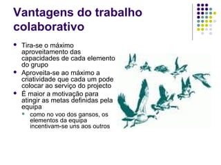 Vantagens do trabalho
colaborativo
 Tira-se o máximo
aproveitamento das
capacidades de cada elemento
do grupo
 Aproveita-se ao máximo a
criatividade que cada um pode
colocar ao serviço do projecto
 É maior a motivação para
atingir as metas definidas pela
equipa
 como no voo dos gansos, os
elementos da equipa
incentivam-se uns aos outros
 