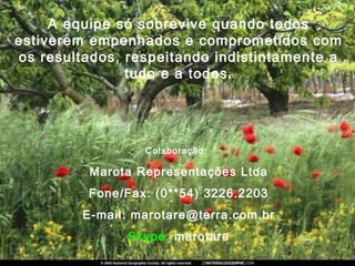 A equipe só sobrevive quando todos
estiverem empenhados e comprometidos com
os resultados, respeitando indistintamente a
tudo e a todos.
Colaboração:
Marota Representações Ltda
Fone/Fax: (0**54) 3226.2203
E-mail: marotare@terra.com.br
Skype: marotare
 