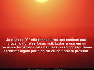 Já o grupo “C” não recebeu recurso nenhum para
cruzar o rio; eles foram solicitados a usarem os
recursos fornecidos pela natureza, caso conseguissem
encontrar algum perto do rio ou na floresta próxima.
 