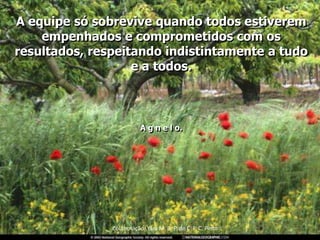A equipe só sobrevive quando todos estiverem
    empenhados e comprometidos com os
resultados, respeitando indistintamente a tudo
                   e a todos.



                          A g n e l o.




               Colaboração: Yara M. B. P. de C. F. C. Pinto
 