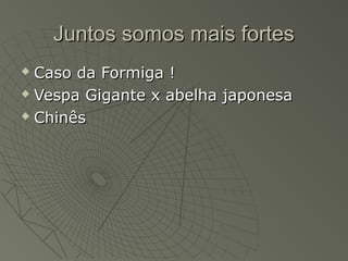 Juntos somos mais fortes
 Caso da Formiga !
 Vespa Gigante x abelha japonesa

 Chinês
 