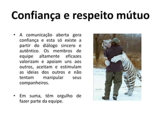 Confiança e respeito mútuo
• A comunicação aberta gera
confiança e esta só existe a
partir do diálogo sincero e
autêntico. Os membros de
equipe altamente eficazes
valorizam e apoiam uns aos
outros, aceitam e estimulam
as ideias dos outros e não
tentam manipular seus
companheiros.
• Em suma, têm orgulho de
fazer parte da equipe.
 