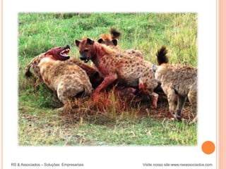 RS & Associados – Soluções Empresariais Visite nosso site:www.rseassociados.com
 