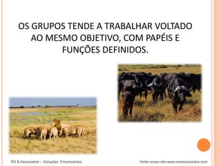 RS & Associados – Soluções Empresariais Visite nosso site:www.rseassociados.com
OS GRUPOS TENDE A TRABALHAR VOLTADO
AO MESMO OBJETIVO, COM PAPÉIS E
FUNÇÕES DEFINIDOS.
 