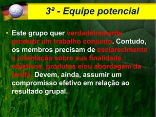 3ª - Equipe potencial
• Este grupo quer verdadeiramente
produzir um trabalho conjunto. Contudo,
os membros precisam de esclarecimento
e orientação sobre sua finalidade,
objetivos, produtos e/ou abordagem da
tarefa. Devem, ainda, assumir um
compromisso efetivo em relação ao
resultado grupal.
 