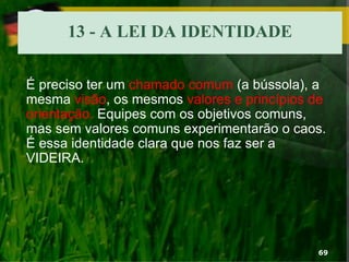 13 - A LEI DA IDENTIDADE
É preciso ter um chamado comum (a bússola), a
mesma visão, os mesmos valores e princípios de
orientação. Equipes com os objetivos comuns,
mas sem valores comuns experimentarão o caos.
É essa identidade clara que nos faz ser a
VIDEIRA.
69
 
