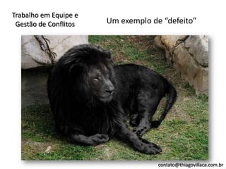 Trabalho em Equipe e
 Gestão de Conflitos   Um exemplo de “defeito”




                                    contato@thiagovillaca.com.br
 