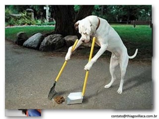 Trabalho em Equipe e
 Gestão de Conflitos
                       Progredindo...




                                        contato@thiagovillaca.com.br
 