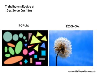 Trabalho em Equipe e
 Gestão de Conflitos



         FORMA         ESSENCIA




                        contato@thiagovillaca.com.br
 