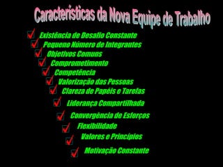 Características da Nova Equipe de TrabalhoExistência de Desafio ConstantePequeno Número de IntegrantesObjetivos ComunsComprometimentoCompetênciaValorização das PessoasClareza de Papéis e Tarefas	Liderança CompartilhadaConvergència de EsforçosFlexibilidadeValores e PrincípiosMotivação Constante