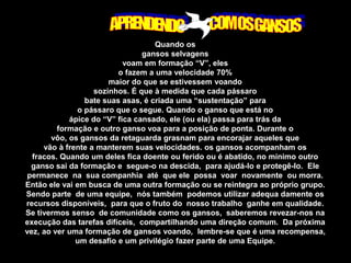 Sucesso não gera sucesso, sucesso gera erros, erros geram SUCESSO!