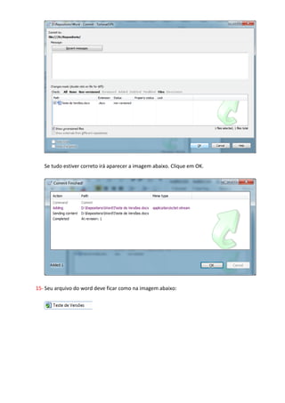 14- Marque Teste de Versões e clique em OK como na imagem abaixo:




   Se tudo estiver correto irá aparecer a imagem abaixo. Clique em OK.
 