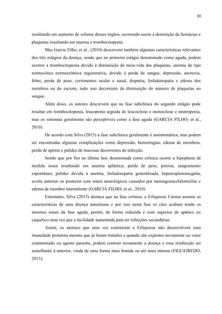 10
resultando em aumento de volume desses órgãos, ocorrendo assim a destruição de hemácias e
plaquetas resultando em anemia e trombocitopenia.
Mas Garcia Filho, et al., (2010) descrevem também algumas características relevantes
dos três estágios da doença, sendo que no primeiro estágio denominado como aguda, podem
ocorrer a trombocitopenia devido à diminuição da meia-vida das plaquetas, anemia do tipo
normocítica normocrômica regenerativa, devido à perda de sangue, depressão, anorexia,
febre, perda de peso, corrimentos ocular e nasal, dispnéia, linfadenopatia e edema dos
membros ou do escroto, tudo isso decorrente da diminuição do número de plaquetas no
sangue.
Além disso, os autores descrevem que na fase subclínica do segundo estágio pode
resultar em trombocitopenia, leucopenia seguida de leucocitose e monocitose e neutropenia,
mas os sintomas geralmente são perceptíveis como a fase aguda (GARCIA FILHO; et al.,
2010).
De acordo com Silva (2015) a fase subclínica geralmente é assintomática, mas podem
ser encontradas algumas complicações como depressão, hemorragias, edema de membros,
perda de apetite e palidez de mucosas decorrentes da infecção.
Sendo que por fim na última fase denominada como crônica ocorre a hipoplasia de
medula óssea resultando em anemia aplástica, perda de peso, pirexia, sangramento
espontâneo, palidez devida à anemia, linfadenopatia generalizada, hepatosplenomegalia,
uveíte anterior ou posterior com sinais neurológicos causados por meningoencefalomielite e
edema de membro intermitente (GARCIA FILHO; et al., 2010).
Entretanto, Silva (2015) destaca que na fase crônica, a Erliquiose Canina assume as
características de uma doença autoimune e por isso nesta fase os cães acabam tendo os
mesmos sinais da fase aguda, porém, de forma reduzida e com aspectos de apático ou
caquético uma vez que a facilidade aumentada para ter infecções secundárias.
Assim, os animais que uma vez contraíram a Erliquiose não desenvolvem uma
imunidade protetora mesmo que já foram tratados e quando são expostos novamente ao vetor
contaminado ou agente parasita, podem contrair novamente a doença e essa reinfecção ser
semelhante à anterior, vinda de uma forma mais branda ou até mais intensa (FIGUEIREDO,
2011).
 