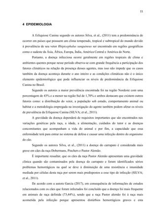 11
4 EPIDEMIOLOGIA
A Erliquiose Canina segundo os autores Silva, et al., (2011) tem a predominância de
ocorrer em países que possuem um clima temperado, tropical e subtropical do mundo devido
à prevalência de seu vetor Rhipicephalus sanguineus ser encontrado em regiões geográficas
como o sudeste da Ásia, África, Europa, Índia, América Central e América do Norte.
Portanto, a doença infecciosa ocorre geralmente em regiões tropicais de clima e
ambientes quentes porque nesse período observa-se com grande frequência a participação dos
fatores climáticos na relação da presença desses agentes, mas isso não impede que os casos
também da doença aconteça durante o ano inteiro e as condições climáticas não é o único
elemento epidemiológico que pode influenciar os níveis de predominância da Erliquiose
Canina no Brasil.
Segundo os autores a maior prevalência encontrada foi na região Nordeste com uma
porcentagem de 43% e a menor na região Sul de 1,70% e ambos destacam que existem outros
fatores como: a distribuição do vetor, a população sob estudo, comportamento animal ou
habitat e a metodologia empregada na investigação do agente também podem afetar os níveis
de prevalência da Erliquiose Canina (SILVA; et al., 2011).
A gravidade da doença dependerá de requisitos importantes que são encontrados nas
variações genéticas pela raça, a idade, a alimentação, cuidados do tutor e as doenças
concomitantes que acompanham a vida do animal e por fim, a capacidade que essa
enfermidade terá para entrar no sistema de defesa e causar uma infecção dentro do organismo
do cão.
Segundo os autores Silva, et al., (2011) a doença do carrapato é considerada mais
grave em cães da raça Dobermans, Pinchers e Pastor Alemão.
É importante ressaltar, que os cães da raça Pastor Alemão apresentam uma gravidade
clínica quando são contaminados pela doença do carrapato e foram identificados sérios
problemas hemorrágicos na qual se deve à diminuição de uma resistência e imunidade
mediada por células desta raça por serem mais predispostos a esse tipo de infecção (SILVA;
et al., 2011).
De acordo com a autora Garcia (2017), em consequência de informações de estudos
relacionados com os cães que foram infectados foi concluído que a doença foi mais frequente
em animais de raça definida (73,44%), sendo que a raça Pastor alemão foi à raça mais
acometida pela infecção porque apresentou distúrbios hemorrágicos graves e esta
 
