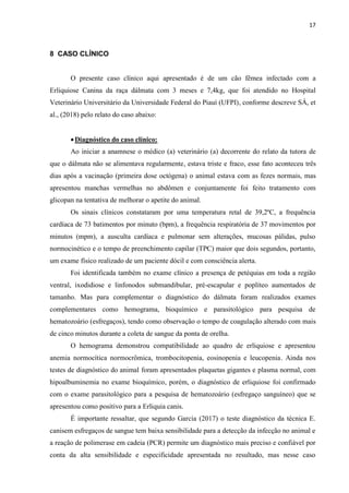 17
8 CASO CLÍNICO
O presente caso clínico aqui apresentado é de um cão fêmea infectado com a
Erliquiose Canina da raça dálmata com 3 meses e 7,4kg, que foi atendido no Hospital
Veterinário Universitário da Universidade Federal do Piauí (UFPI), conforme descreve SÁ, et
al., (2018) pelo relato do caso abaixo:
Diagnóstico do caso clínico:
Ao iniciar a anamnese o médico (a) veterinário (a) decorrente do relato da tutora de
que o dálmata não se alimentava regularmente, estava triste e fraco, esse fato aconteceu três
dias após a vacinação (primeira dose octógena) o animal estava com as fezes normais, mas
apresentou manchas vermelhas no abdômen e conjuntamente foi feito tratamento com
glicopan na tentativa de melhorar o apetite do animal.
Os sinais clínicos constataram por uma temperatura retal de 39,2ºC, a frequência
cardíaca de 73 batimentos por minuto (bpm), a frequência respiratória de 37 movimentos por
minutos (mpm), a ausculta cardíaca e pulmonar sem alterações, mucosas pálidas, pulso
normocinético e o tempo de preenchimento capilar (TPC) maior que dois segundos, portanto,
um exame físico realizado de um paciente dócil e com consciência alerta.
Foi identificada também no exame clínico a presença de petéquias em toda a região
ventral, ixodidiose e linfonodos submandibular, pré-escapular e poplíteo aumentados de
tamanho. Mas para complementar o diagnóstico do dálmata foram realizados exames
complementares como hemograma, bioquímico e parasitológico para pesquisa de
hematozoário (esfregaços), tendo como observação o tempo de coagulação alterado com mais
de cinco minutos durante a coleta de sangue da ponta de orelha.
O hemograma demonstrou compatibilidade ao quadro de erliquiose e apresentou
anemia normocítica normocrômica, trombocitopenia, eosinopenia e leucopenia. Ainda nos
testes de diagnóstico do animal foram apresentados plaquetas gigantes e plasma normal, com
hipoalbuminemia no exame bioquímico, porém, o diagnóstico de erliquiose foi confirmado
com o exame parasitológico para a pesquisa de hematozoário (esfregaço sanguíneo) que se
apresentou como positivo para a Erliquia canis.
É importante ressaltar, que segundo Garcia (2017) o teste diagnóstico da técnica E.
canisem esfregaços de sangue tem baixa sensibilidade para a detecção da infecção no animal e
a reação de polimerase em cadeia (PCR) permite um diagnóstico mais preciso e confiável por
conta da alta sensibilidade e especificidade apresentada no resultado, mas nesse caso
 