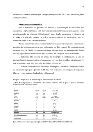 18
demonstrado o exame parasitológico (esfregaço sanguíneo) foi eficaz para a confirmação da
doença no dálmata.
Tratamento do caso clínico:
Para o tratamento do paciente foi prescrito a administração da doxiciclina pela
dosagem de 5mg/kg e aplicação oral, duas vezes ao dia durante vinte dias consecutivos, com a
complementação da vitamina B1(suplemento) com função suplementar e dosagem de
0,1ml/kg pela aplicação também via oral na mesma frequência do medicamento anterior,
sendo duas vezes ao dia e durante vinte dias.
Assim, foi instruído dar ao paciente também a vitamina C (suplemento) ainda via oral
com dose de 1ml, como suporte e nível suplementar por duas vezes ao dia consecutivamente
durante o prazo de 20 dias e conjuntamente com o sarolaner que é um ectoparasiticida dosado
em 2mg repetidamente a cada 35 dias para o controle dos carrapatos e outros artrópodes.
O tratamento não consiste em apenas na prescrição de medicamentos e sim um
acompanhamento que proporciona o bem estar do pet e por isso, o médico (a) veterinário (a)
deve se submeter o paciente à reavaliação clínica e laboratorial.
O dálmata foi encaminhado novamente ao Hospital Veterinário Universitário depois
do tratamento logo após o período de 14 dias, onde se realizou o hemograma e bioquímico
(Tabela 1), para uma reavaliação clínica e laboratorial.
Imagem comparativa de antes e depois do tratamento de 14 dias
Tabela 1. Comparação de hemograma e bioquímico completo antes e após 14 dias de tratamento
instituído contra Erliquiose canina.
Fonte: https://www.pubvet.com.br/uploads/60749c4bcea1181a681fd0290ef46d9d.pdf
 