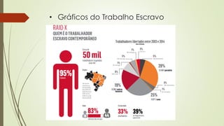 • Gráficos do Trabalho Escravo
 