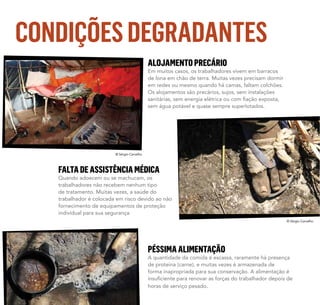 CONDIÇÕESDEGRADANTES
ALOJAMENTOPRECÁRIO
Em muitos casos, os trabalhadores vivem em barracos
de lona em chão de terra. Muitas vezes precisam dormir
em redes ou mesmo quando há camas, faltam colchões.
Os alojamentos são precários, sujos, sem instalações
sem água potável e quase sempre superlotados.
FALTADEASSISTÊNCIAMÉDICA
Quando adoecem ou se machucam, os
trabalhadores não recebem nenhum tipo
de tratamento. Muitas vezes, a saúde do
trabalhador é colocada em risco devido ao não
fornecimento de equipamentos de proteção
individual para sua segurança.
PÉSSIMAALIMENTAÇÃO
A quantidade da comida é escassa, raramente há presença
de proteína (carne), e muitas vezes é armazenada de
forma inapropriada para sua conservação. A alimentação é
horas de serviço pesado.
© Sérgio Carvalho
© Sérgio Carvalho
 