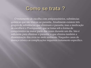 Como se trata ? O tratamento de escolha com antiparasitários, substâncias químicas que são tóxicas ao parasita. Atualmente existem três grupos de substâncias que eliminam o parasita, mas a medicação de escolha é o Praziquantel, que se toma sob a forma de comprimidos na maior parte das vezes durante um dia. Isto é suficiente para eliminar o parasita, o que elimina também a disseminação dos ovos no meio ambiente. Naqueles casos de doença crônica as complicações requerem tratamento específico.