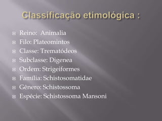 Classificação etimológica :Reino:  AnimaliaFilo: PlateomintosClasse: TrematódeosSubclasse: DigeneaOrdem: StrigeiformesFamília: SchistosomatidaeGênero: SchistossomaEspécie: SchistossomaMansoni