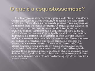 O que é a esquistossomose?É a  Infecção causada por verme parasita da classe Trematódea. Ocorre em diversas partes do mundo de forma não controlada (endêmica). Nestes locais o número de pessoas com esta parasitose se mantém mais ou menos constante. Os parasitas desta classe são cinco, e variam como agente causador da infecção conforme a região do mundo. No nosso país a esquistossomose é causada pelo Schistossomamansoni. O principal hospedeiro e reservatório do parasita é o homem sendo a partir de suas excretas (fezes e urina) que os ovos são disseminados na natureza. Possui ainda um hospedeiro intermediário que são os caramujos, caracóis ou lesmas, onde os ovos passam a forma larvária (cercária). Esta última dispersa principalmente em águas não tratadas, como lagos, infecta o homem pela pele causando uma inflamação da mesma. Já no homem o parasita se desenvolve e se aloja nas veias do intestino e fígado causando obstrução das mesmas, sendo esta a causa da maioria dos sintomas da doença que pode ser crônica e levar a morte.