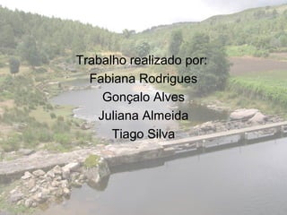 Trabalho realizado por:
Fabiana Rodrigues
Gonçalo Alves
Juliana Almeida
Tiago Silva
 