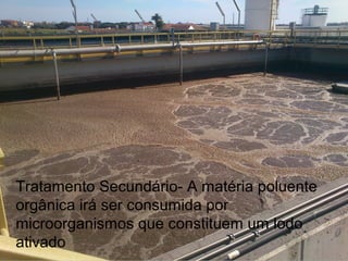 Tratamento Secundário- A matéria poluente
orgânica irá ser consumida por
microorganismos que constituem um lodo
ativado
 