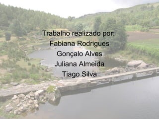 Trabalho realizado por:
Fabiana Rodrigues
Gonçalo Alves
Juliana Almeida
Tiago Silva
 