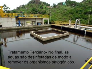 Tratamento Terciário- No final, as
águas são desinfetadas de modo a
remover os organismos patogénicos.
 
