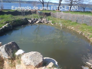 Exemplo de uma FITO-ETAR
 