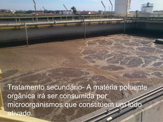 Tratamento secundário- A matéria poluente
orgânica irá ser consumida por
microorganismos que constituem um lodo
ativado.
 
