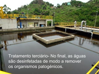 Tratamento terciário- No final, as águas
são desinfetadas de modo a remover
os organismos patogénicos.
 