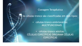 Clonagem Terapêutica
As células-tronco são classificadas em dois tipos:
• células-tronco embrionárias:
MULTIFUNCIONAIS
• células-tronco adultas:
CÉLULAS ESPECÍFICAS ORIGINAM CÉLULAS
ESPECÍFICAS
 