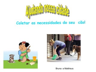 Coletar as necessidades do seu cão!




                    Bruna e Mattheus
 