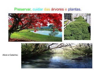 Preservar, cuidar das árvores e plantas.




Alice e Catarina.
 