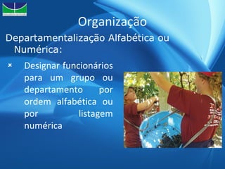 Organização Departamentalização Alfabética ou Numérica: Designar funcionários para um grupo ou departamento por ordem alfabética ou por listagem numérica 