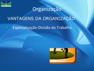 Organização Especialização-Divisão do Trabalho VANTAGENS DA ORGANIZAÇÃO 