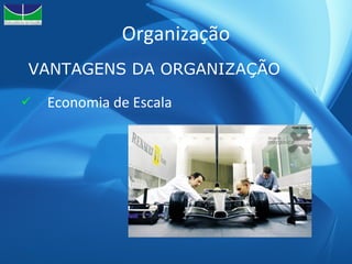 Organização Economia de Escala VANTAGENS DA ORGANIZAÇÃO 