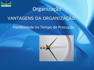 Organização Flexibilidade no Tempo de Procução VANTAGENS DA ORGANIZAÇÃO 