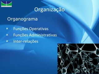 Organização Funções Operativas Funções Administrativas Inter-relações Organograma 