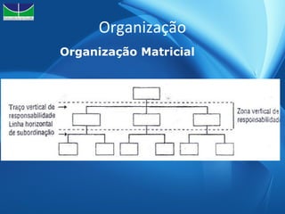 Organização Organização Matricial 