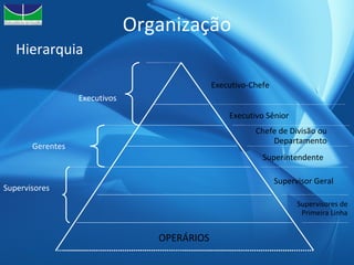 Organização Executivos Gerentes Supervisores OPERÁRIOS Executivo-Chefe Executivo Sênior Chefe de Divisão ou Departamento Superintendente Supervisor Geral Supervisores de Primeira Linha Hierarquia 