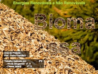Energias Renováveis e Não Renováveis Biomassa Área de Projecto Prof.: Pedro Francisco Trabalho realizado por:                    8ºB    - Nicole Strugarean  nº 11    - Olesea Iabanji         nº 13 