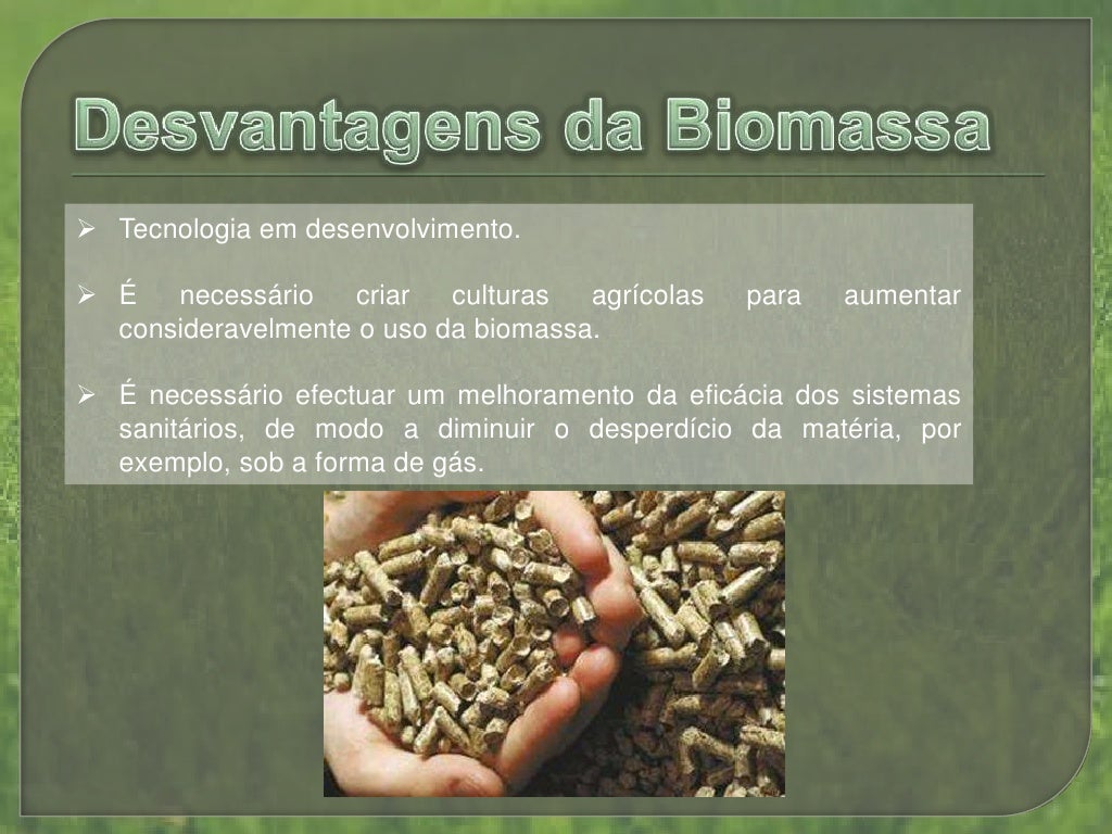 Vantagens E Desvantagens Da Energia Biomassa Brainly