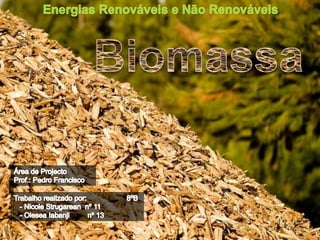 Energias Renováveis e Não Renováveis Biomassa Área de Projecto Prof.: Pedro Francisco Trabalho realizado por:                    8ºB    - Nicole Strugarean  nº 11    - Olesea Iabanji         nº 13 