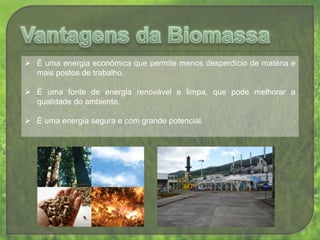 Vantagens da BiomassaÉ uma energia económica que permite menos desperdício de matéria e mais postos de trabalho.